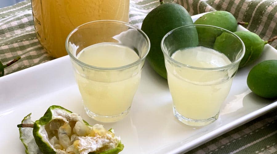 passionfruit cordial featured image