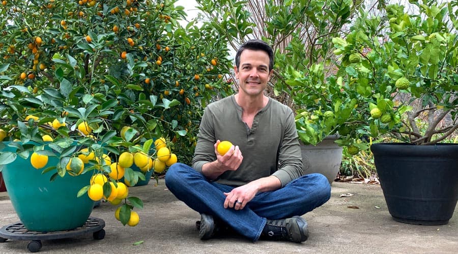 Potted citrus garden video tour - Tyrant Farms