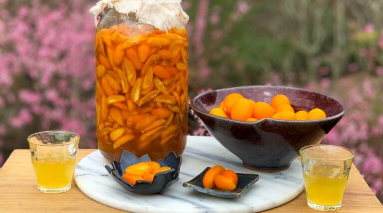 honey fermented kumquats