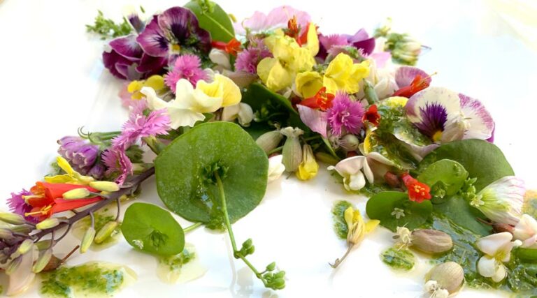 flower salad recipe with eastern hemlock dressing