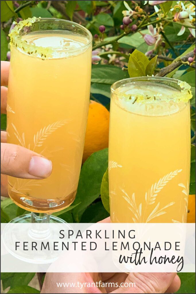 sparkling fermented lemonade image optimized for pinterest