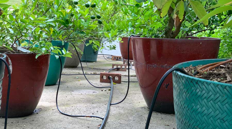 Irrigation System Round Square for Plant Pot Flower Pot Plant Pot Vase Uni 