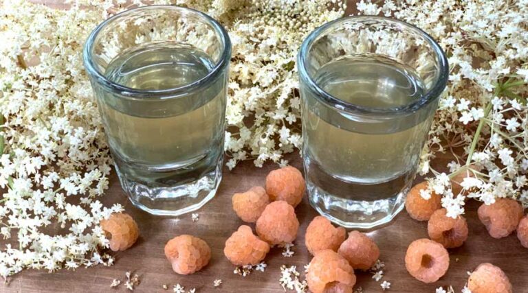 golden raspberry elderflower cordial recipe