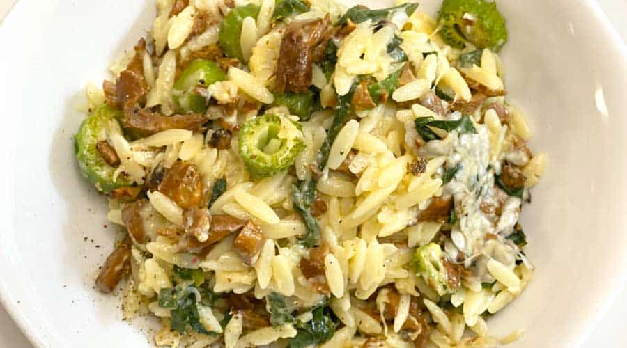 chanterelle orzo with milkweed