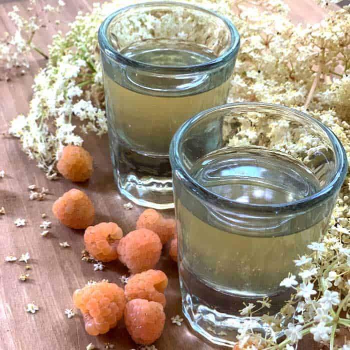 golden raspberry, elderflower, honey fermented cordial recipe