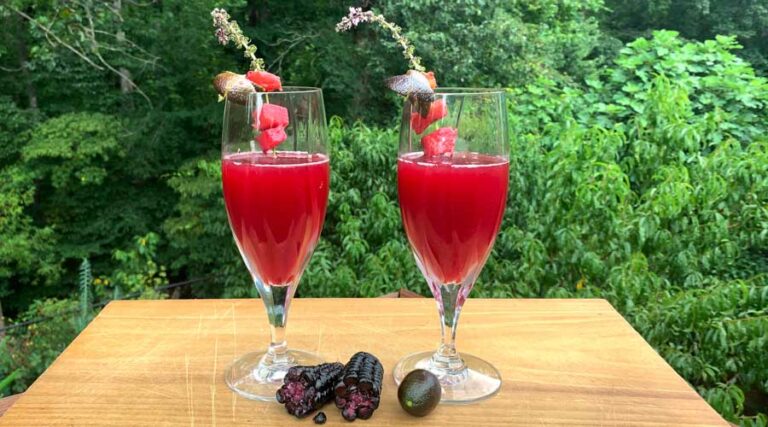fermented chica morada recipe - purple corn beverage recipe