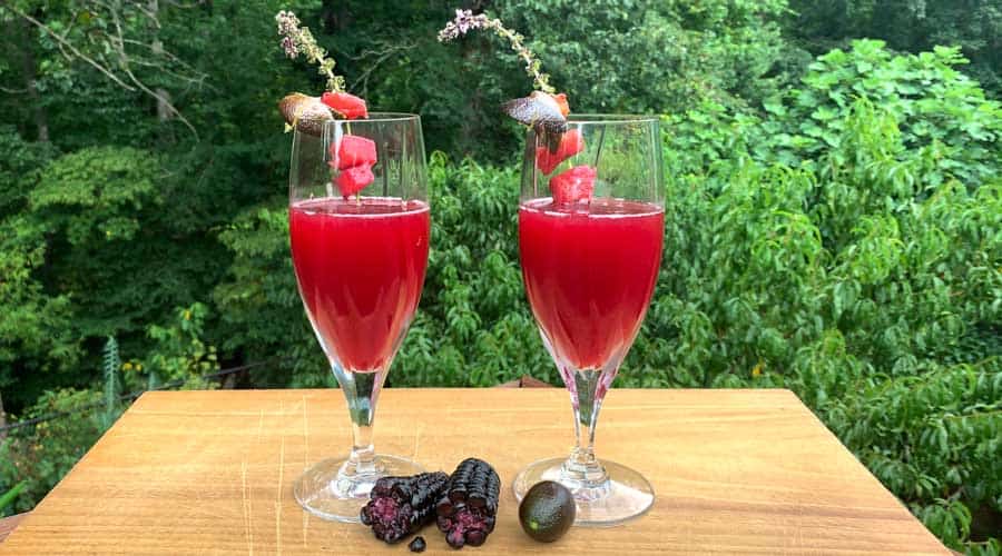 fermented chica morada recipe - purple corn beverage recipe