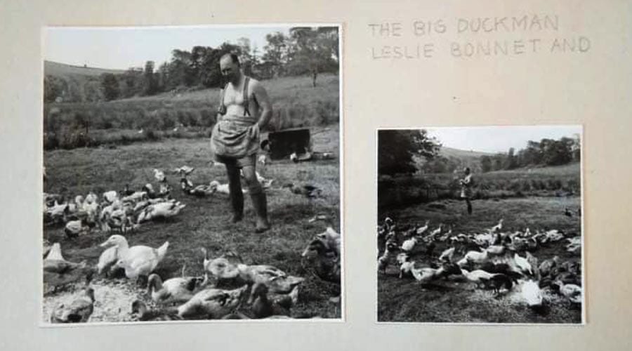 welsh harlequin duck history leslie bonnet
