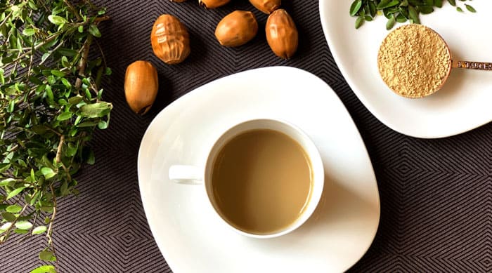 acorn flour yaupon holly featured image