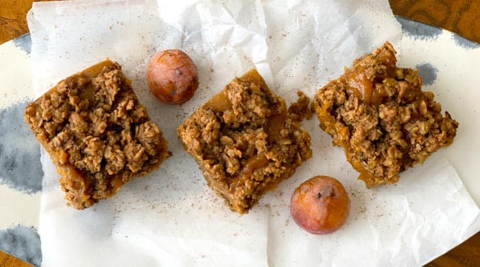 persimmon bars featured image