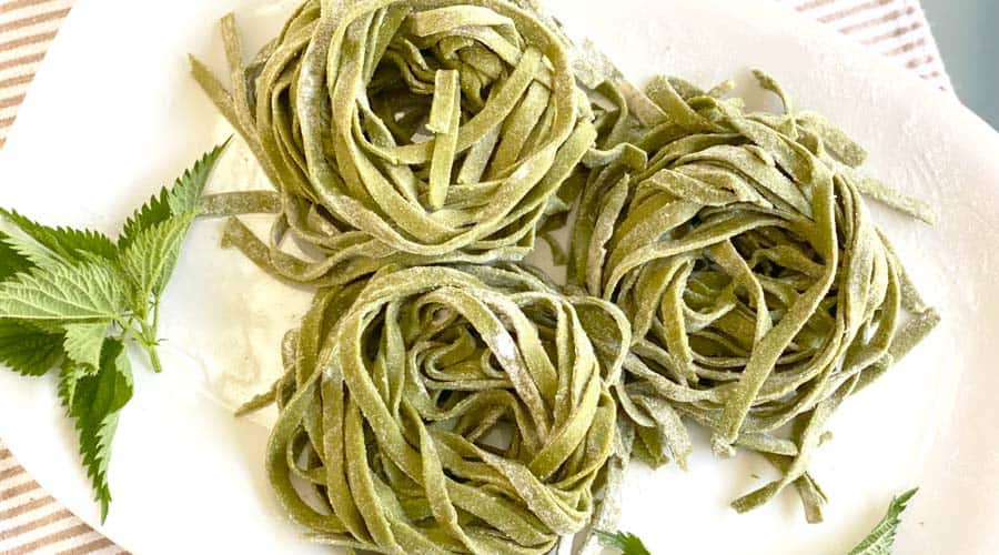 Recipe: duck egg stinging nettle pasta with organic white whole wheat flour