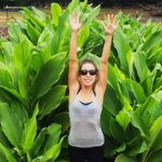 tyrant turmeric and ginger featured image