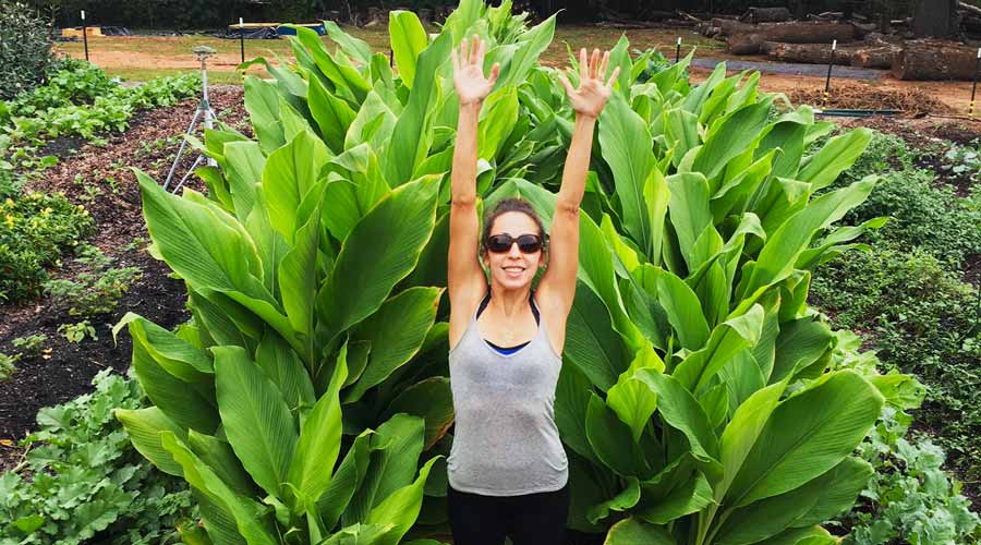 tyrant turmeric and ginger featured image