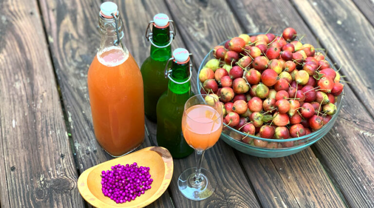 Fermented beautyberry crabapple cider recipe