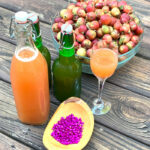 fermented beautyberry and crabapple cider recipe