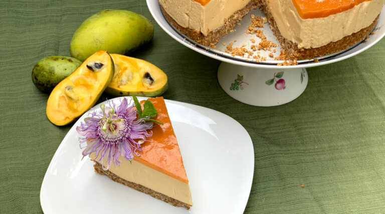 No-bake pawpaw cheesecake recipe (Asimina triloba)