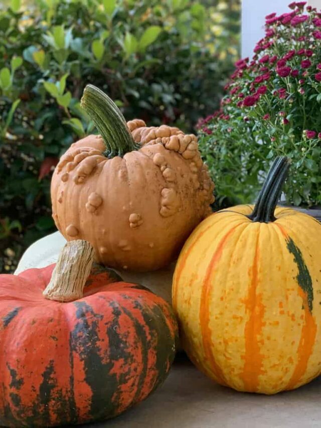 How to process, eat (and drink!) a fresh pumpkin.