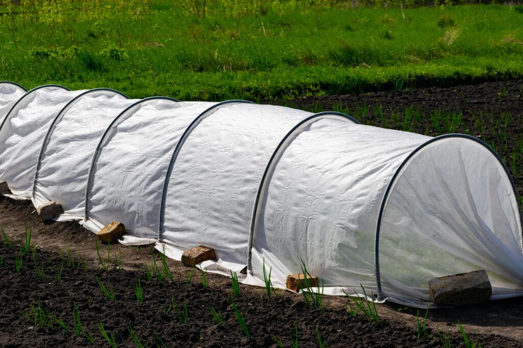 Row cover in an edible garden bed can be used to deter deer.