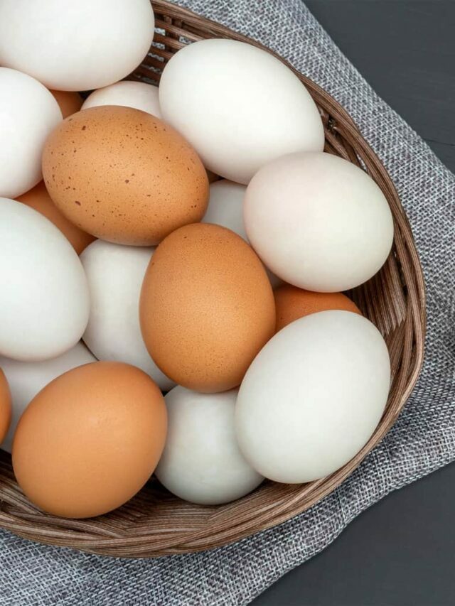 Duck eggs vs chicken eggs: a 7-point comparison
