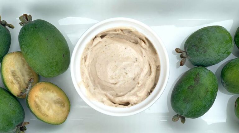 Pineapple guava ice cream recipe made in a blender - no sugar added!