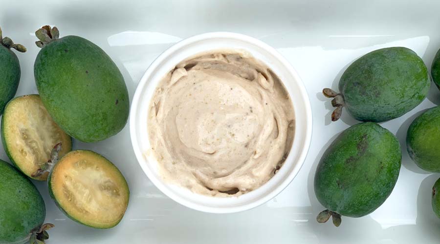 Pineapple guava ice cream made in a blender (no sugar added!) Tyrant