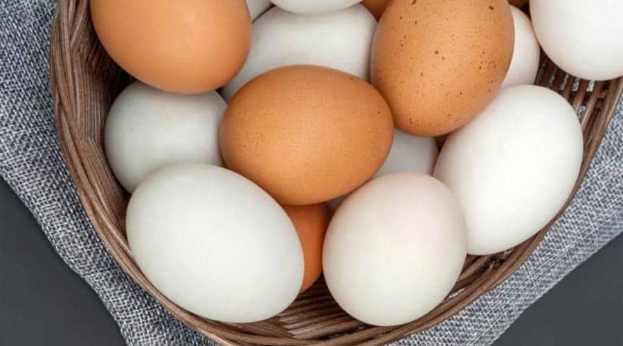 Can you save money producing your own eggs? How much does it cost to produce backyard eggs?