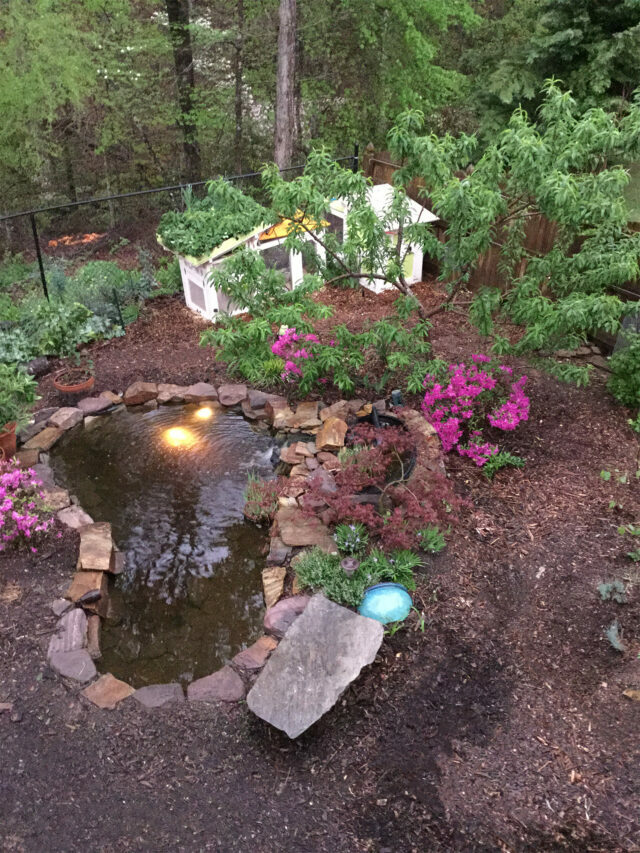 How to make a DIY backyard duck pond that’s self-cleaning!
