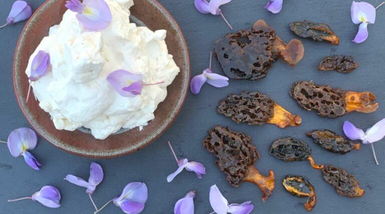 Maple-candied morel mushroom dessert recipe