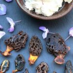 Maple-candied morel mushroom dessert recipe served with spruce needle whipped cream