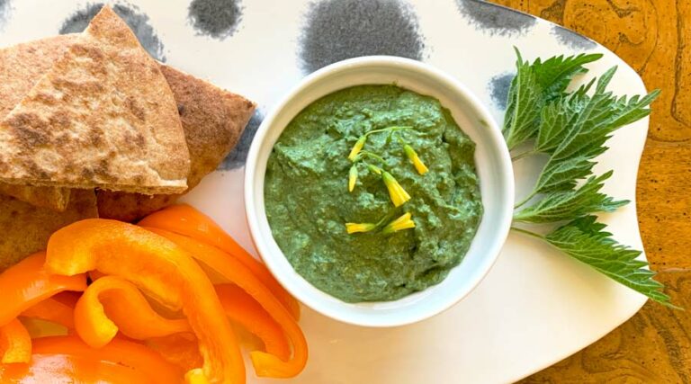 stinging nettle dip recipe made with labne