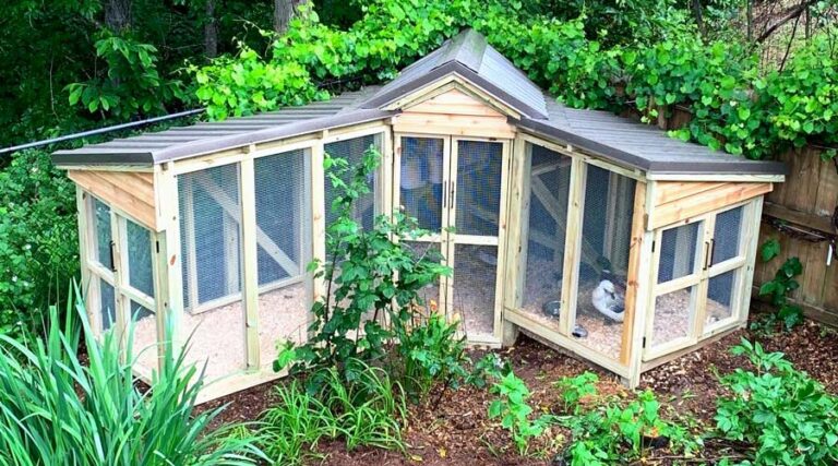 Waddle Inn, ultimate duck coop by Tyrant Farms. Duck coop design, duck coop inspiration, duck coop ideas