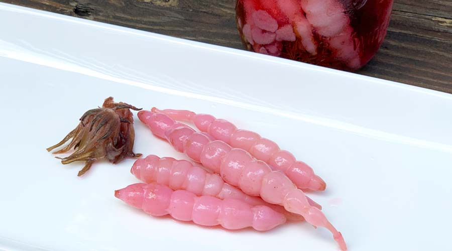 Florida betony pickles with hibiscus roselle