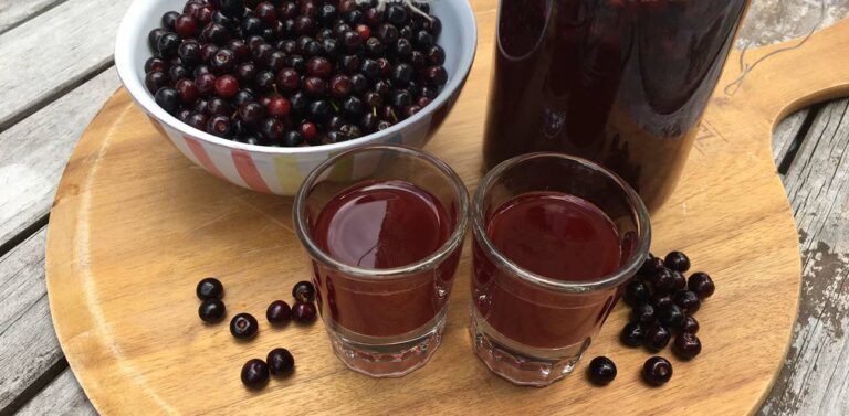 fermented wild black cherry cordial