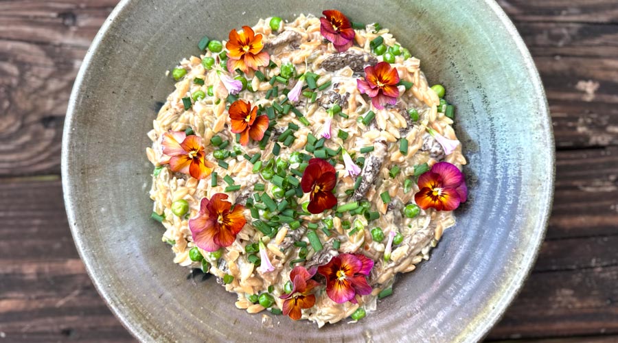 Morel mushroom orzo recipe