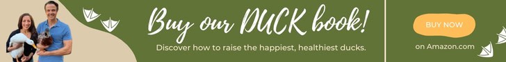 the impractical guide to keeping pet and backyard ducks banner