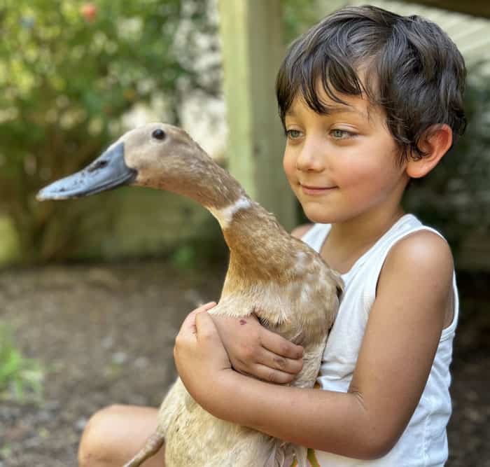 child holding duck