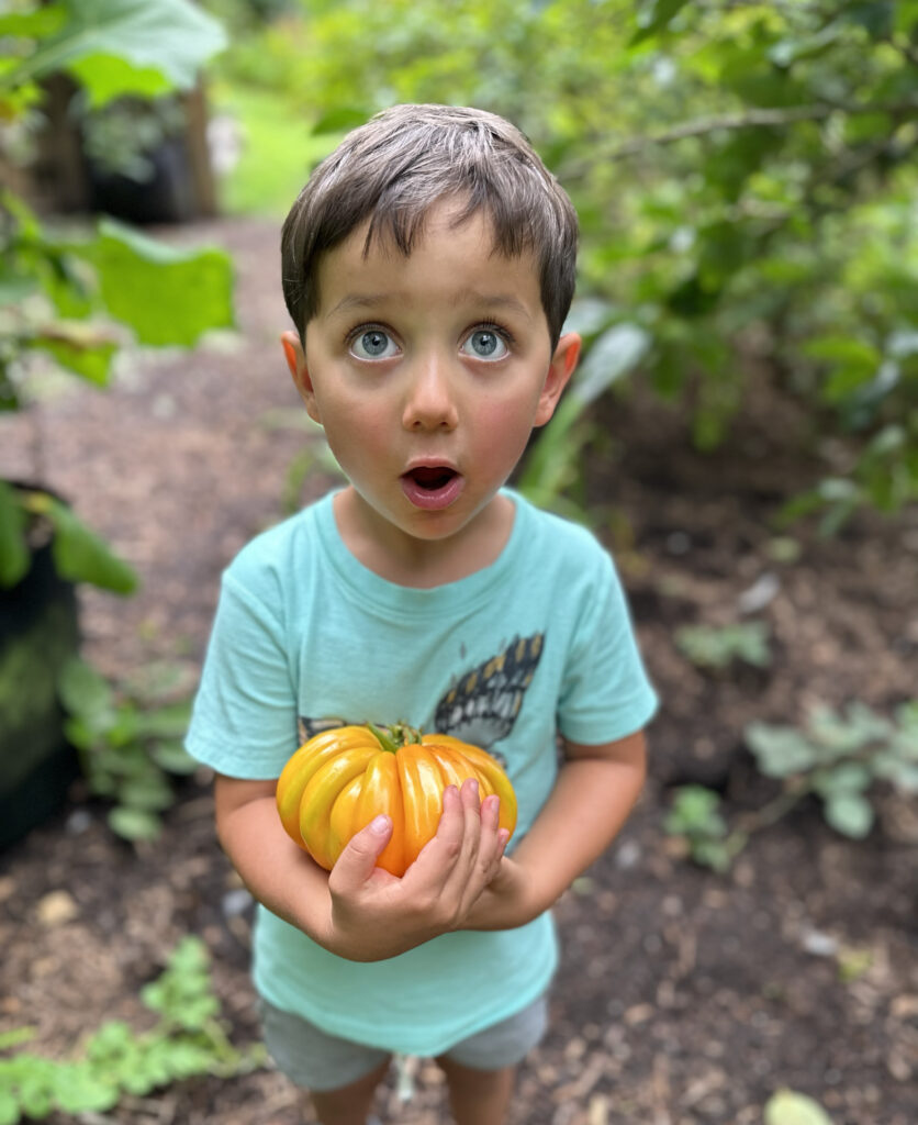 top of page gardening image