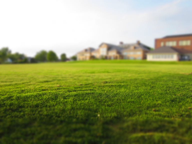 Expansive green lawn with a blurred building in the distance under a clear sky.