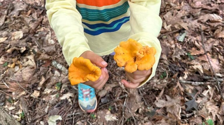 food philosophy - child foraging mushrooms