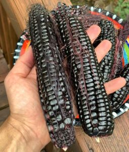 25+ rare and unusual edible plants to grow in your garden - Tyrant Farms