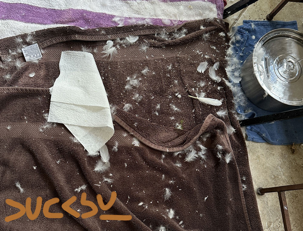 A work by Ducksy the artist