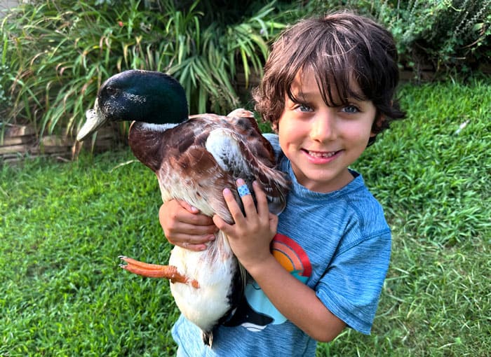 It's hard to tell from this picture, but Marty the duck (formerly Mary and then Mawy) has managed to accrue a lot of student debt. Hopefully, our young son and others will learn a valuable lesson from Marty's experiences.