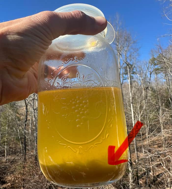 The red arrow shows the lees which drops to the bottom of the container when you make fermented beverages. It's safe to consume but you may find the color undesirable. 