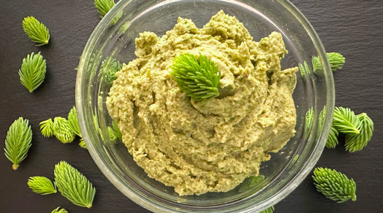 spruce tip pecan pesto recipe