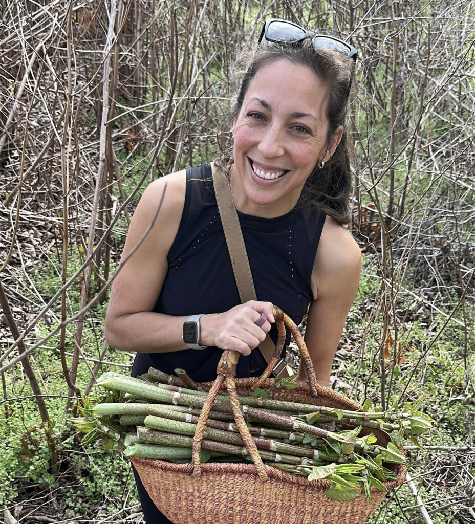 Japanese knotweed harvest - Susan the Tyrant holding harvest basket
