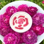 Rose flower panna cotta recipe made from fresh roses